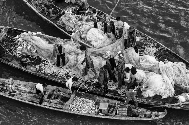 Image d'un groupe de pêcheurs, vus du dessus, debout sur trois embarcations