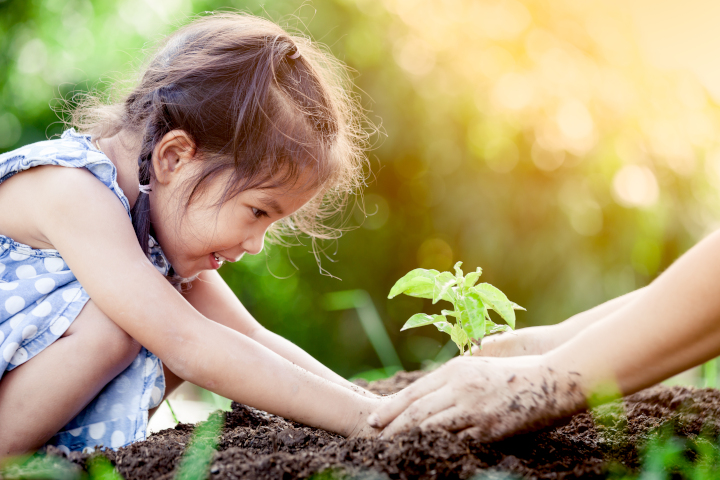 Photographie d'une petite fille qui plonge ses deux mains dans la terre, plaçant une plante