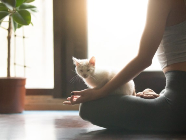 femme en position de méditation avec un chat à côté dans une pièce lumineuse