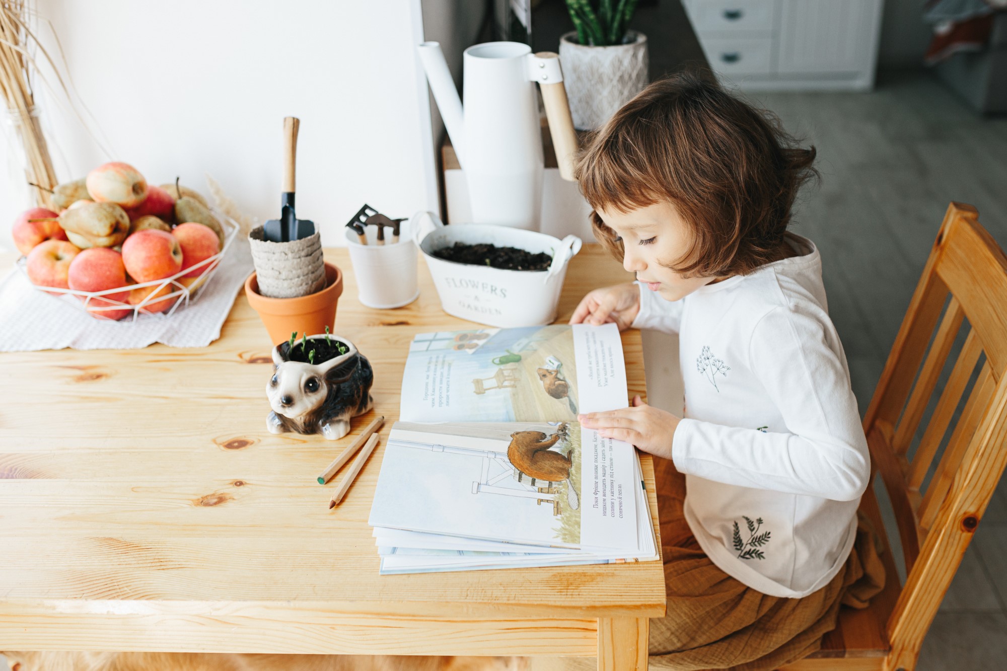 Un petit fille lit un livre, sur la table des outils de jardinage et des petites pousses