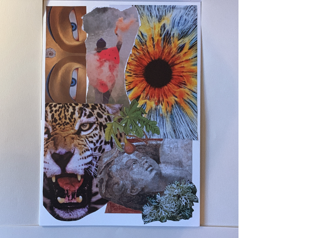 images tigre, tournesol, masque précolombien