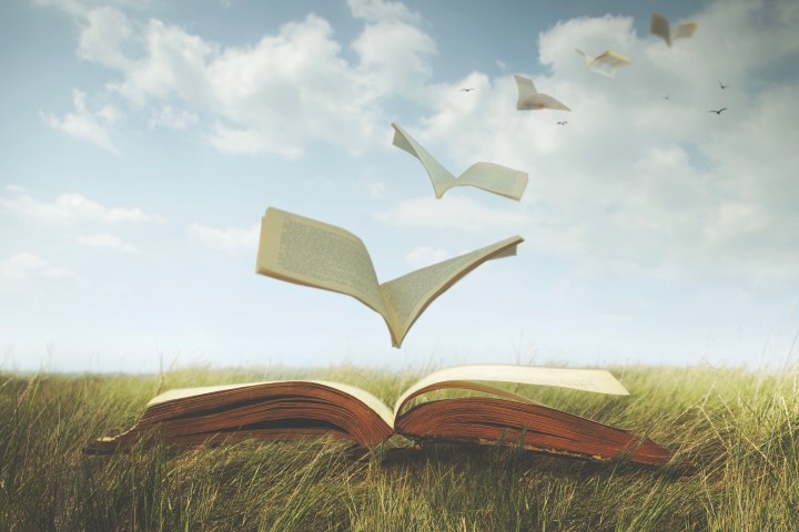 Photographie d'un livre ouvert sur un champ d'herbe, avec des pages qui s'envolent dans le lointain
