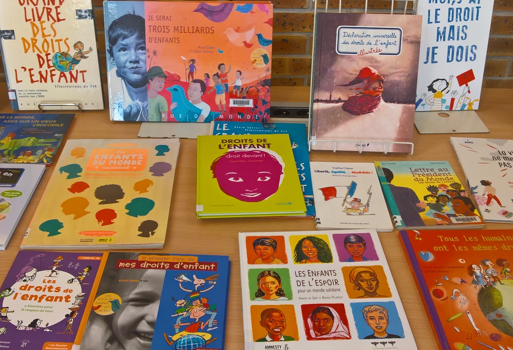 Quelques livres jeunesse sur les Droits de l'Enfant